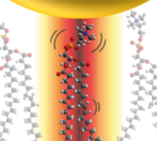 Watching molecules dance in real time