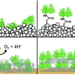 Review of Bio-inspired materials for artificial photosynthesis