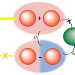 Biologically Inspired Photocell