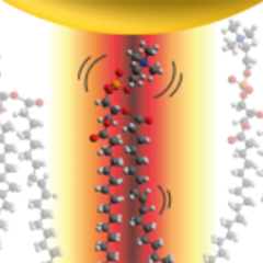 Watching molecules dance in real time