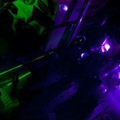 Quantum waves at the heart of organic solar cells