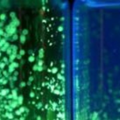 Rotating molecules create a brighter future