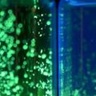 Rotating molecules create a brighter future