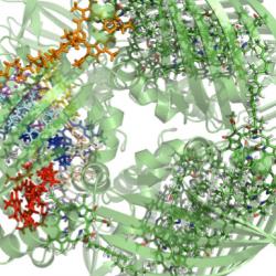 Unlocking nature's quantum engineering