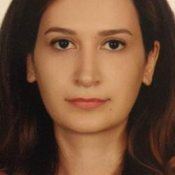  Zahra  Andaji-Garmaroudi