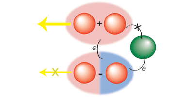 Biologically Inspired Photocell
