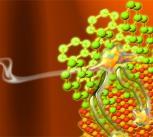 Hybrid materials could smash the solar efficiency ceiling
