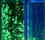 Rotating molecules create a brighter future
