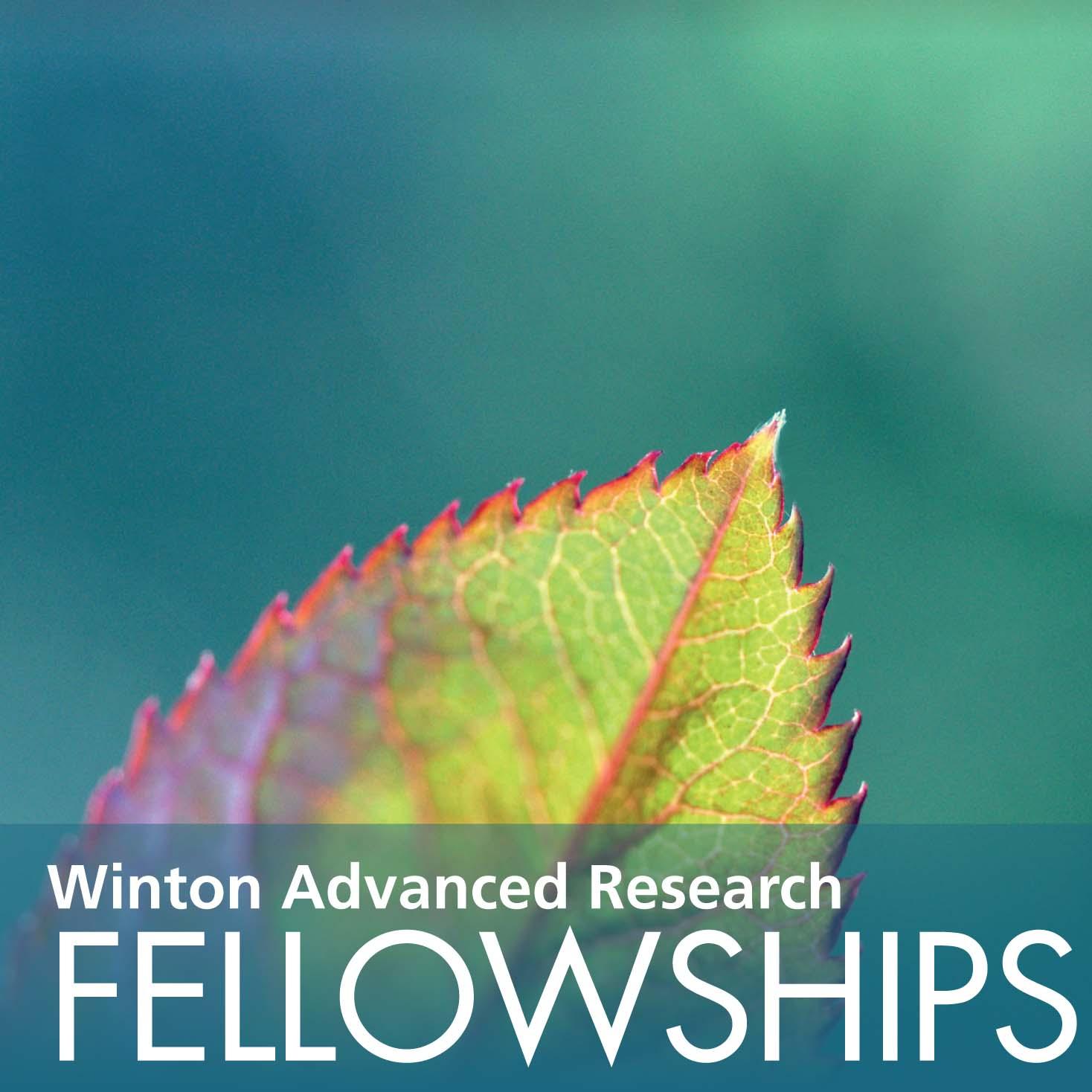 Winton Programme Appoints Three New Fellows